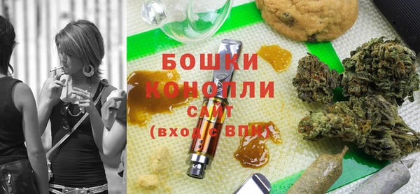 ALPHA-PVP Новозыбков