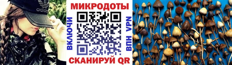 Псилоцибиновые грибы Psilocybine cubensis  дарнет шоп  Приморско-Ахтарск 