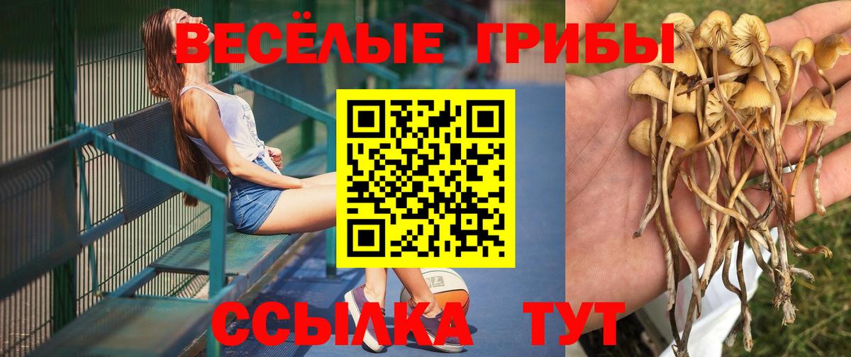 Галлюциногенные грибы MAGIC MUSHROOMS Приморско-Ахтарск