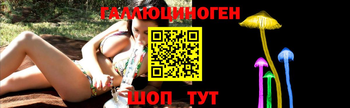 Галлюциногенные грибы MAGIC MUSHROOMS  Галлюциногенные грибы GOLDEN TEACHER  Вход с VPN  Приморско-Ахтарск 