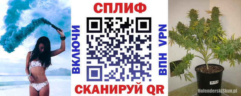 дарк нет клад закладка Приморско-Ахтарск Марихуана AK-47